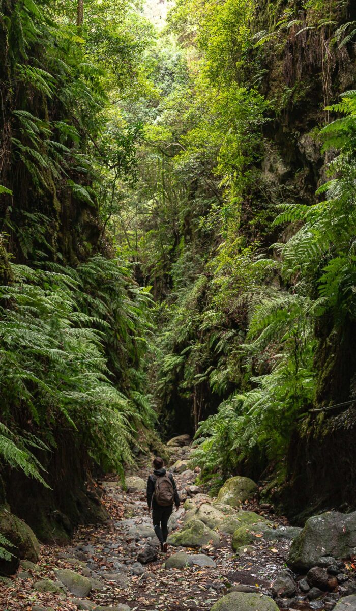 La Palma 23_Los Tilo~avier Gutiérrez © Javier Gutiérrez