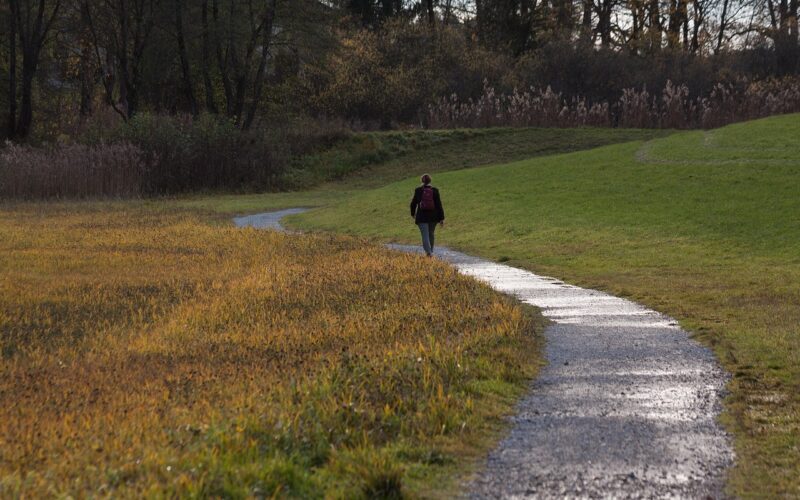 Spazierengehen Spazierengehen