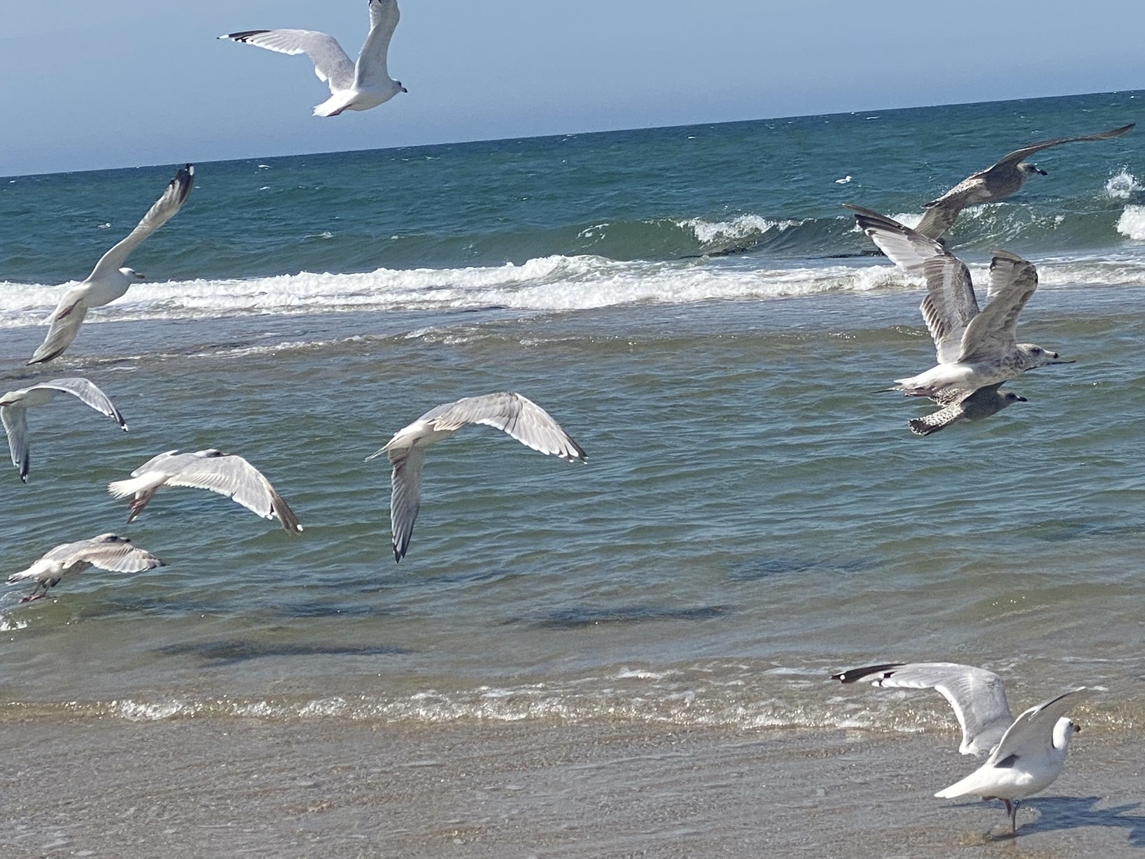 Nordseestrand Holland