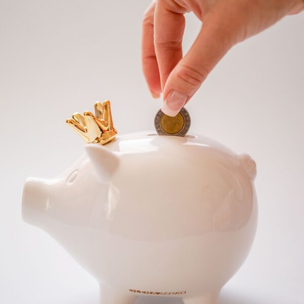 Sparschwein wird mit Geld gefüttert