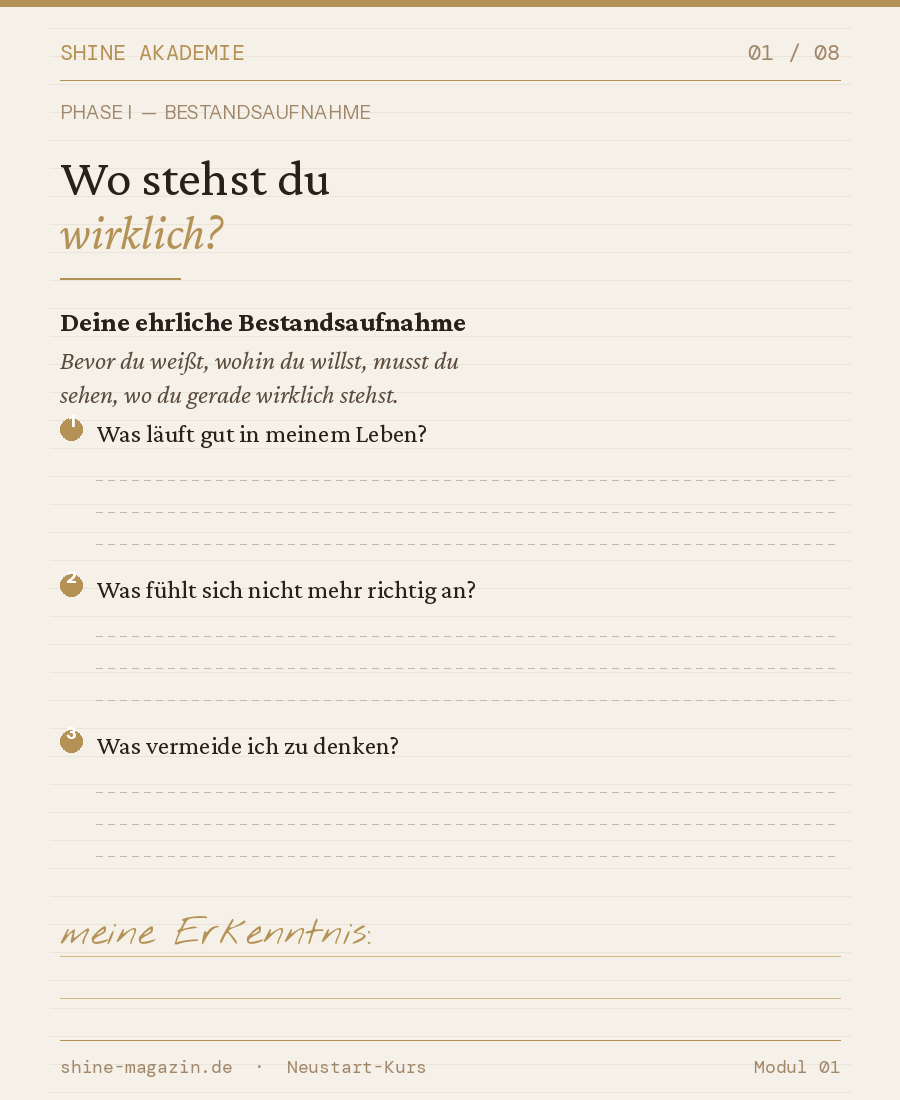 shine Neustart 45+ Kurs Bestandsaufnahme