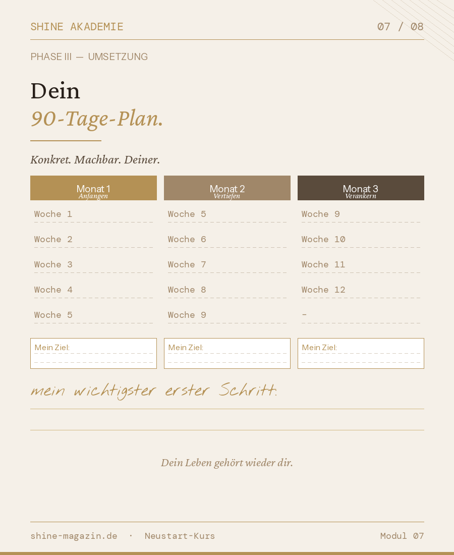 shine Neustart 45 + Umsetzung
