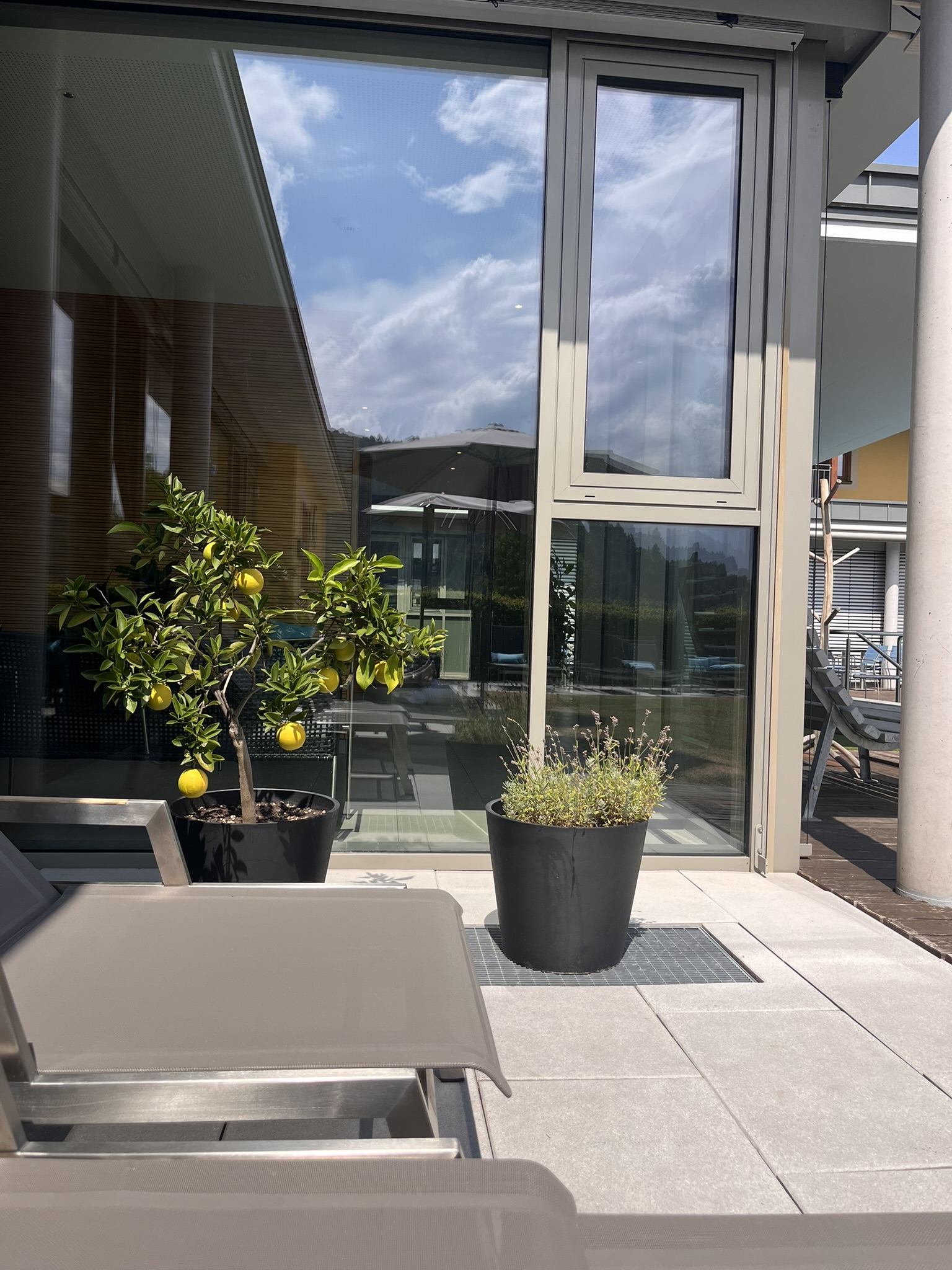Hotel Mosers Blume Poolgestaltung Liebevoll gestalteter Außenbereich