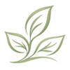 Gesundheit bei Shine AloeVera Blatt als Gesundheitsbild