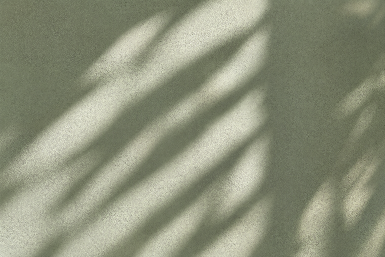 Sanfte Blätterschatten auf Pastellwand